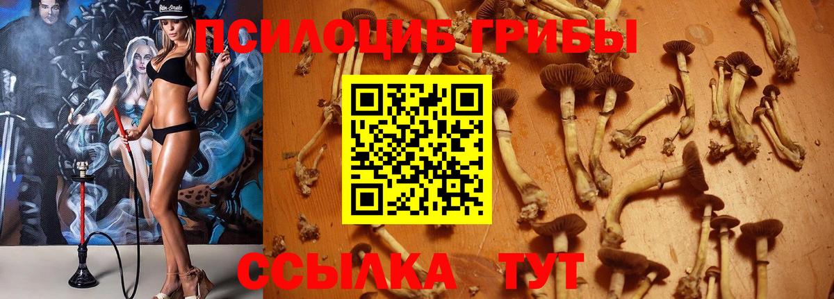 Псилоцибиновые грибы Magic Shrooms Казань