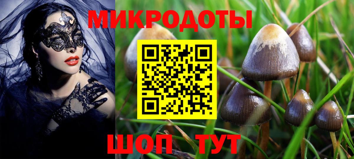 Псилоцибиновые грибы Psilocybe  Вход с VPN  Казань  что такое   Галлюциногенные грибы Psilocybe 